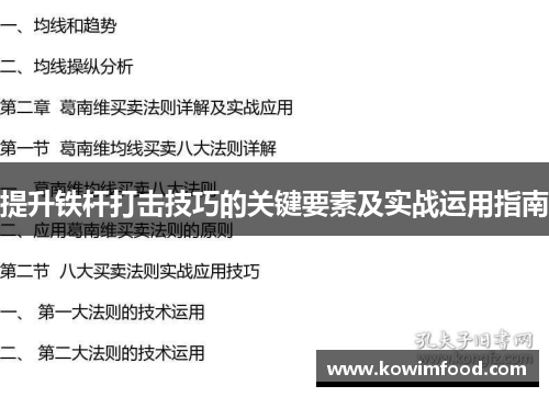 提升铁杆打击技巧的关键要素及实战运用指南