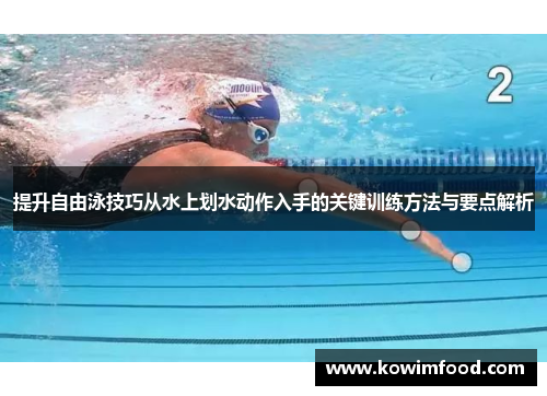 提升自由泳技巧从水上划水动作入手的关键训练方法与要点解析