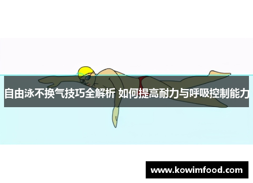 自由泳不换气技巧全解析 如何提高耐力与呼吸控制能力
