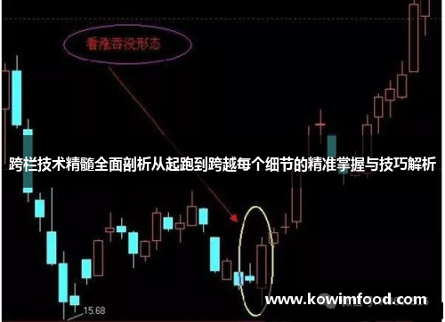 跨栏技术精髓全面剖析从起跑到跨越每个细节的精准掌握与技巧解析