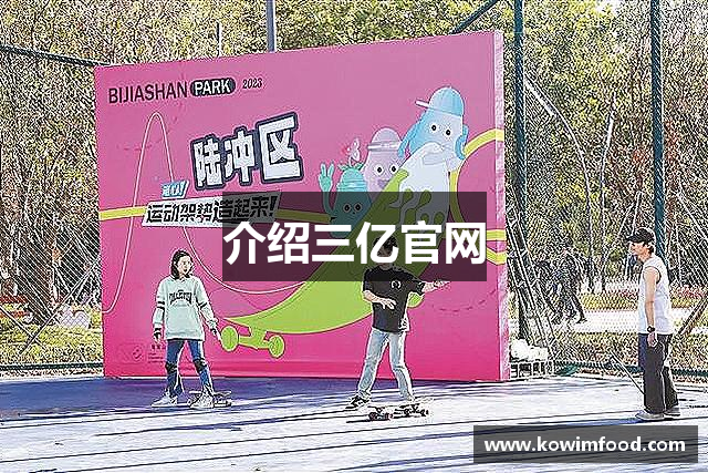 介绍三亿官网